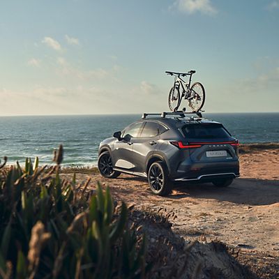 Lexus nx bike rack new arrivals